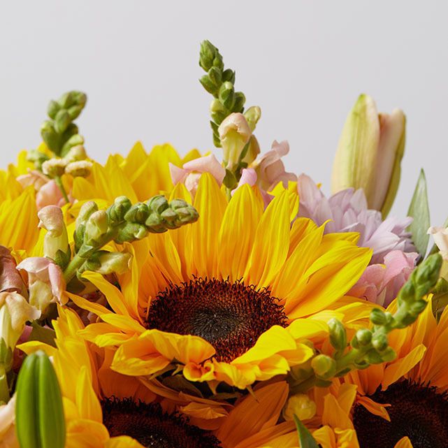 Sunflowers with a Pink Lily & Purple Snaps The Bouqs Co.