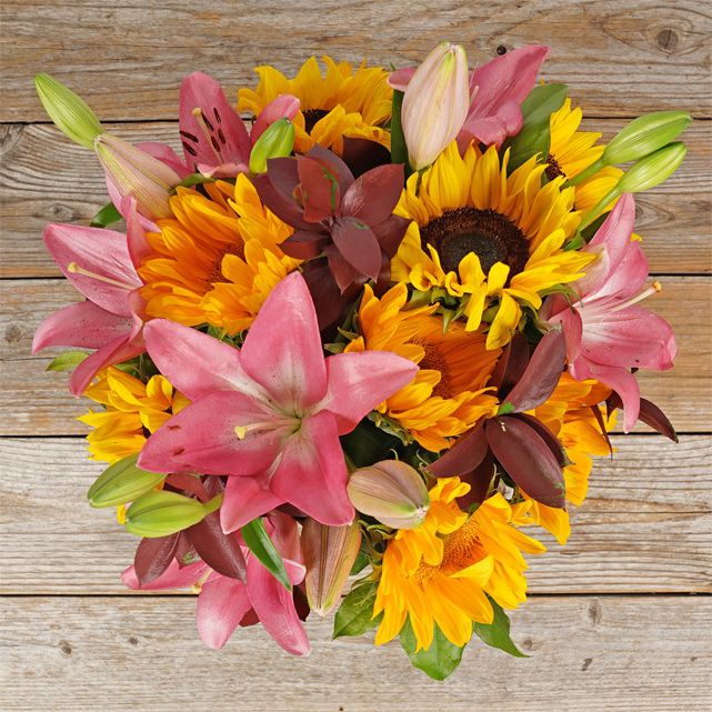 Sunflower Arrangement with Pink Asiatic Lilies The Bouqs Co.