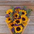 Vibrance