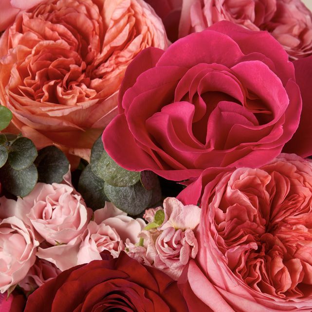 The Adore Arrangement