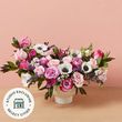 The Darling Arrangement
