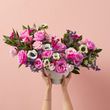 The Darling Arrangement