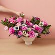 The Darling Arrangement
