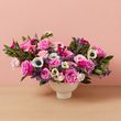 The Darling Arrangement