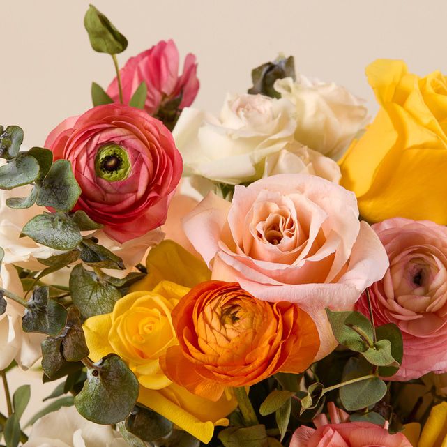 The Laguna Arrangement
