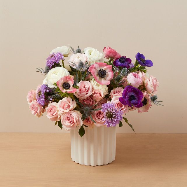 The Wild Fig Arrangement