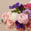 The Wild Fig Arrangement