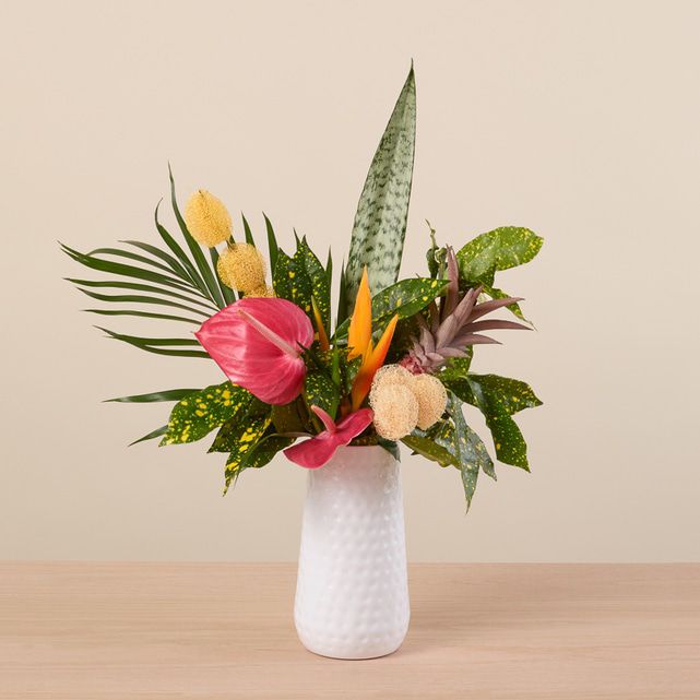 Pina