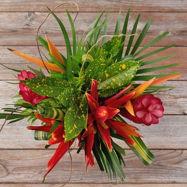 Assorted Tropical Flower Mix The Bouqs Co Assorted Tropical Flower Mix The Bouqs Co