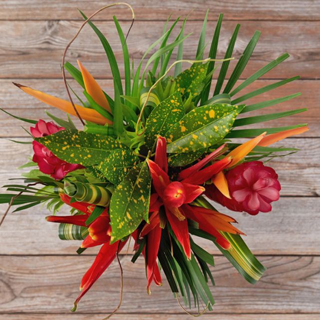 Assorted Tropical Flower Mix The Bouqs Co