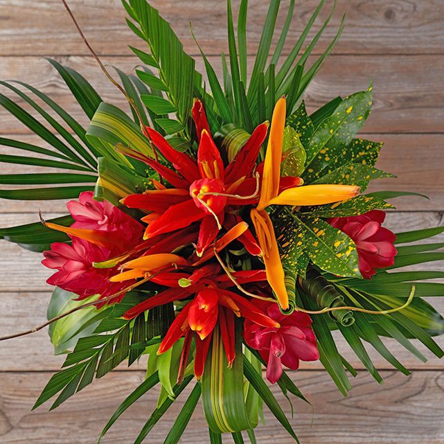 Tropical Love