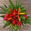 Tropical Love