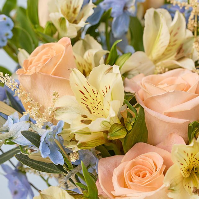 Vased Bouquet of Pastel Roses, Delphinium & Alstroemeria - The Bouqs Co.