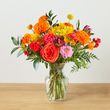 Vibrant Vibes: A Florist Choice