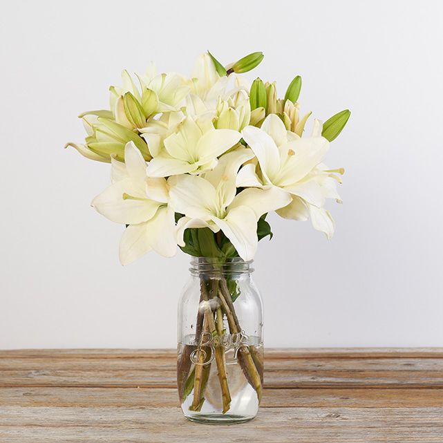 White Asiatic Lily Flowers - The Bouqs Co. White Asiatic Lily Flowers - The Bouqs Co.