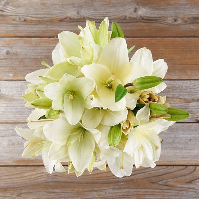 White deals asiatic lilies