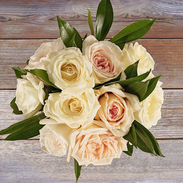 White Cloud And Princess Maya Rose Bouquet The Bouqs Co White Cloud And Princess Maya Rose Bouquet The Bouqs Co