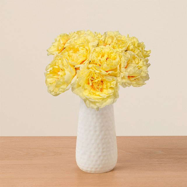 Butter Yellow Peonies