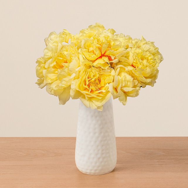 Butter Yellow Peonies