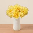 Butter Yellow Peonies