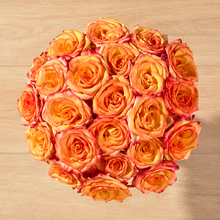 orange to yellow bicolor roses