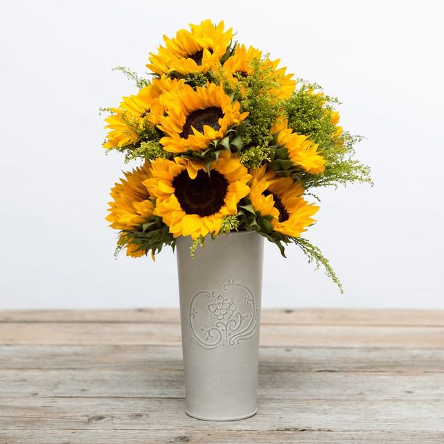 Hello Sunshine