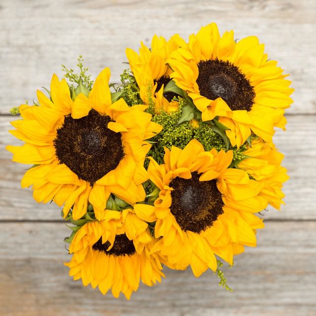 Hello Sunshine